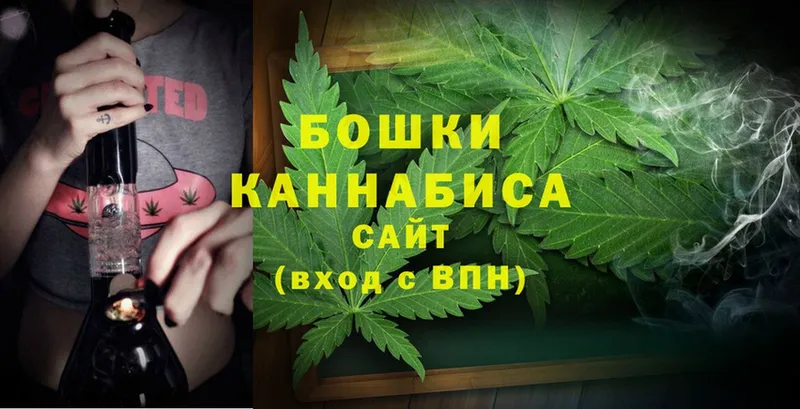 площадка какой сайт  Вытегра  Каннабис OG Kush 